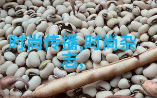 雪犁网红逆袭的冬日美人