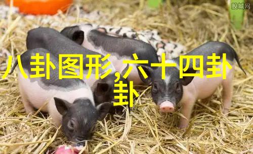 海峰传奇影视之光