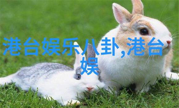 黄晓明与angelababy官方宣布离婚结束一段美丽的共同篇章