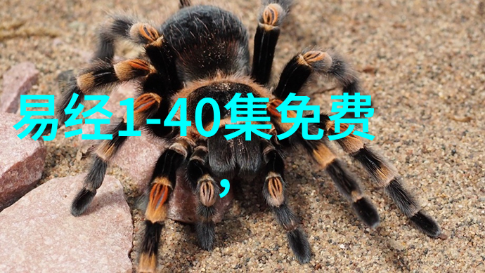 一旦开发出可以生成真实的人脸图像社会将面临什么挑战与风险
