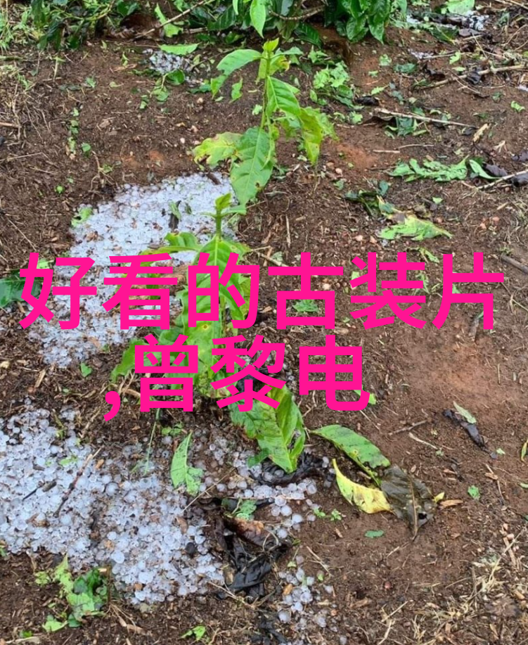 李可诚大叔邀请您成为国际冠军联盟会年度慈善颁奖盛典的荣誉主席真的是太棒了
