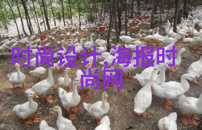 中国成功发射新一代通信星座卫星系统提升全球通讯能力