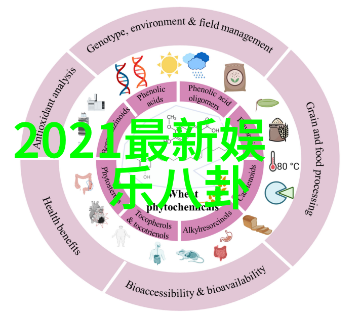 音悦无界免费音乐网的奇迹之旅