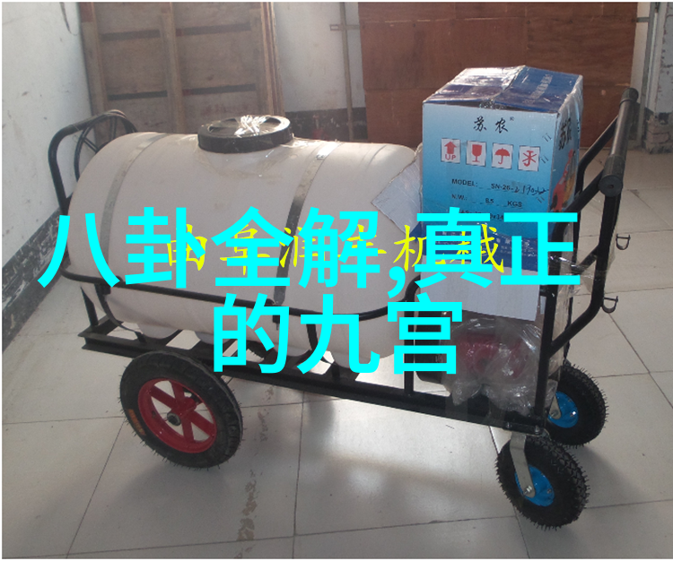 网红雪梨写真冰山美人与城市喧嚣的反差魅力