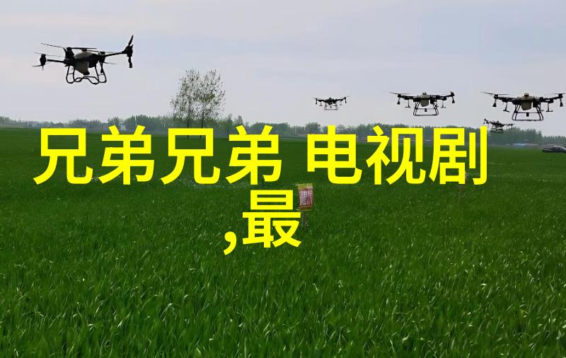 重生香港娱乐后宫梦回繁华夜的传奇续写