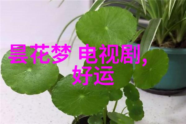 八字命盘全解析揭秘你的命运之轮笑看星辰大图