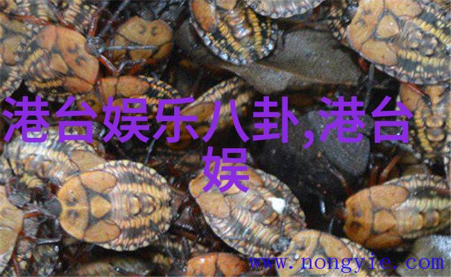 打造完美音乐库探索流行歌曲大全100首的魅力