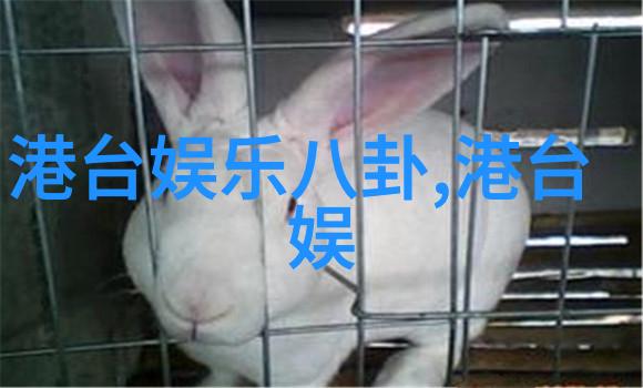 美女写真-摄影师与梦幻捕捉美丽的瞬间