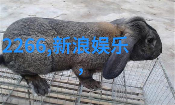 3比3平局的挑战与胜利之歌