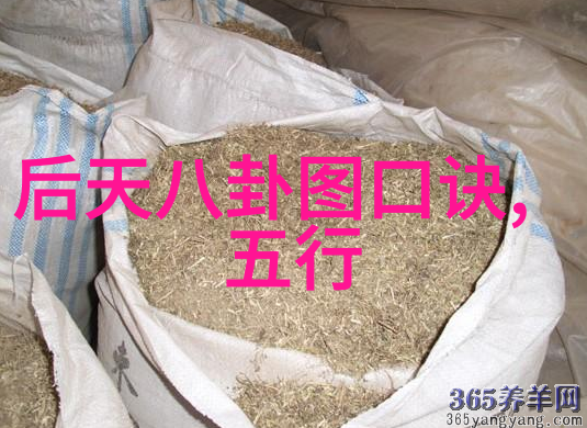网络时代新宠儿网红长得像有什么特定模式吗
