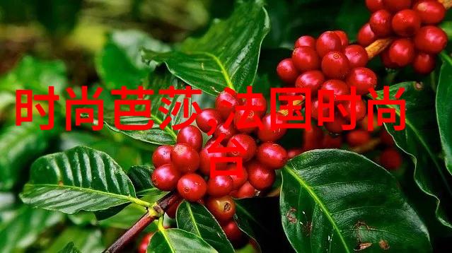 探索镜头背后的艺术写真的魅力与技巧