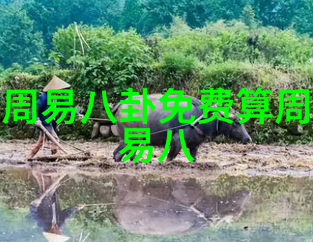 锻炼前美式选择适合两人的运动看ovie