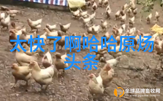 太空成为新的战略竞争场所探讨外太空军事化趋势