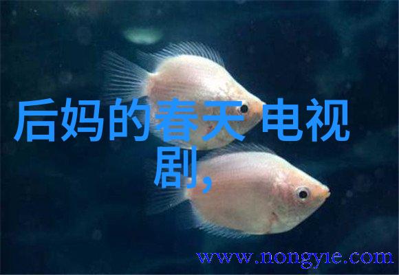 范丞丞自主划线院校34所的杰出代表个人资料简历介绍