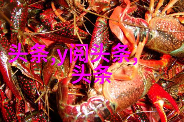 天籁图谜八卦之韵与五行的秘密篇