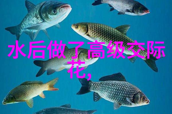 向往的生活之睡遍娱乐圈我的梦想不只是追星而已