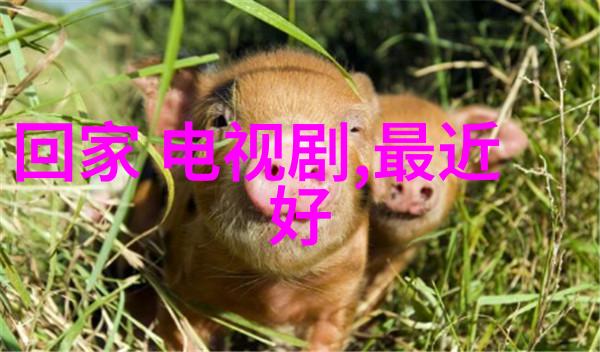 伤感失落的图片我眼前这张照片怎么看都心疼