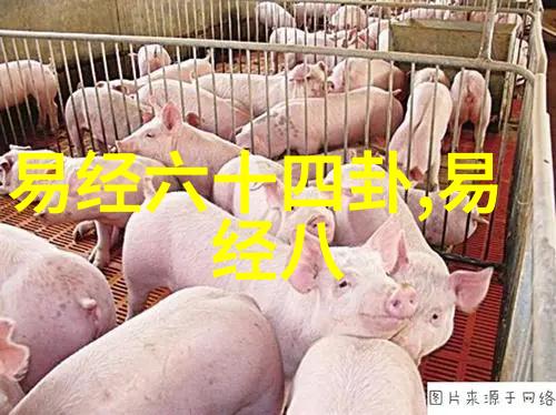 八角笼中黄轩公子哥变形记