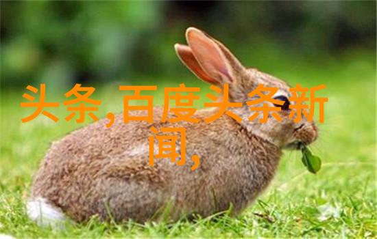 河南头条网我是怎么在网上找到了河南省的最新动态