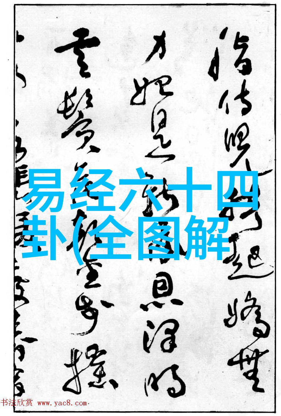 梦中花园的秘密