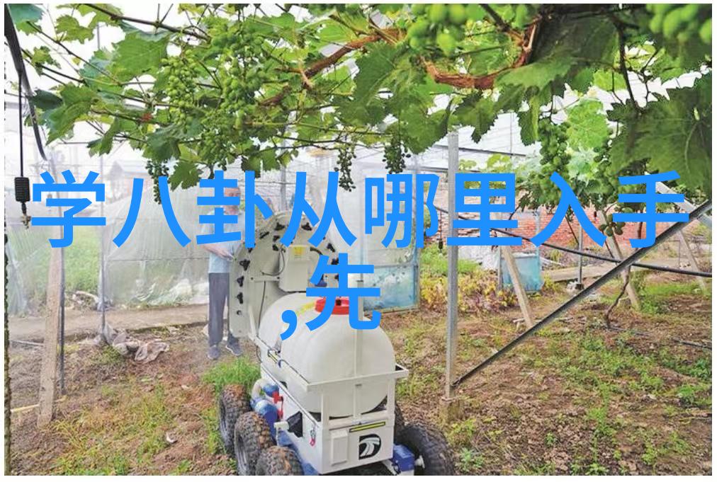 潜行狙击枕上书定档风波杨幂缺席的三生三世能否续命