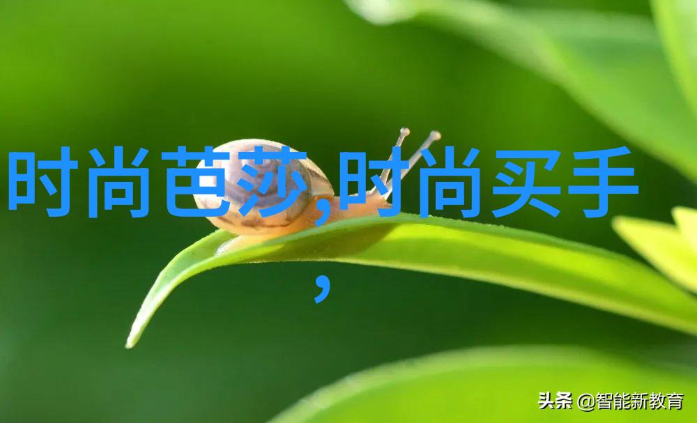 四二一页时间与记忆的交错