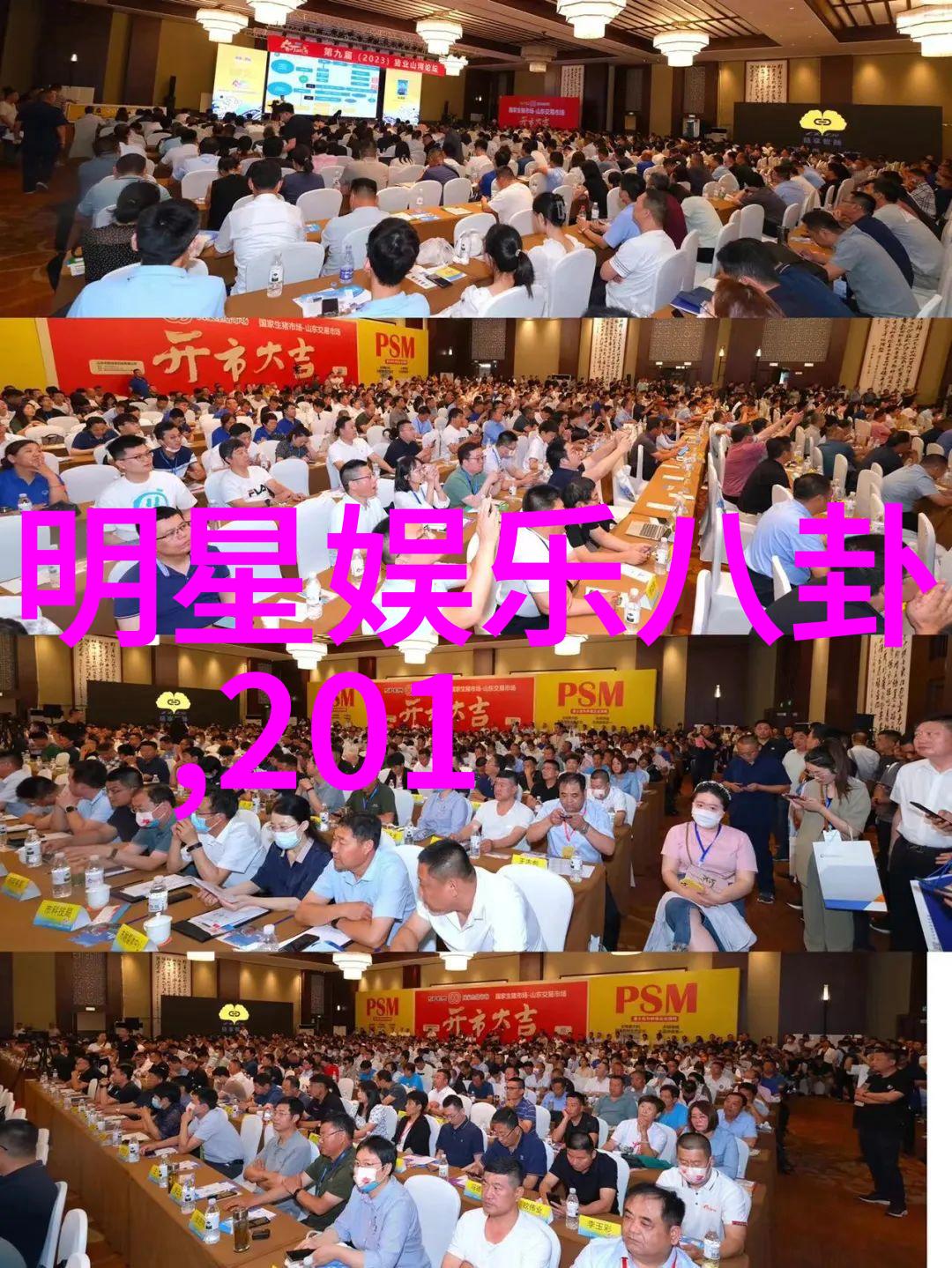 星光下的裂痕黄晓明与angelababy的离婚风波