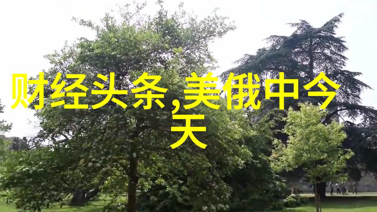 末世逆袭穿越者如何成为反派的领袖