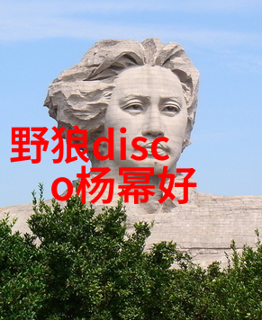 如何计算安全期与排卵期韩国娱乐圈的社会影响探究