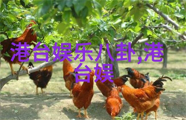 3345时空之门的守护者