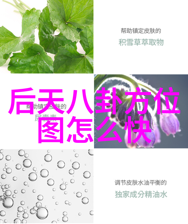 谢春花生日演唱会花语时一场盛大的音乐盛宴经过一年再次回到北展剧场所有电视剧粉丝的期待在即将到来