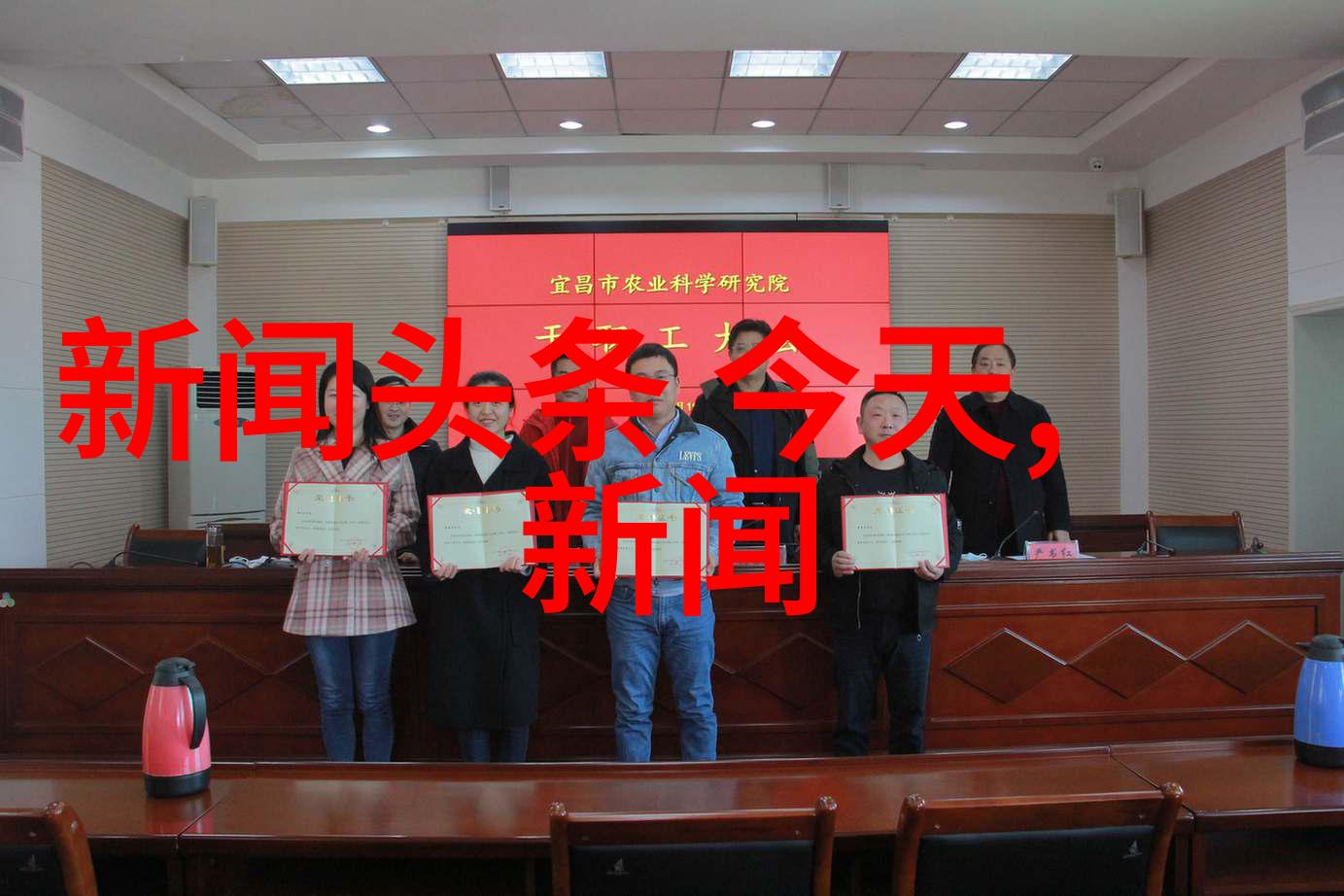 少女写真纯真瞬间的诗意捕捉