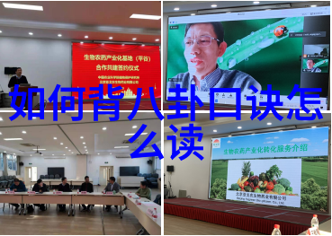 青苹果乐园电视剧影视梦幻儿童主题乐园的奇幻故事