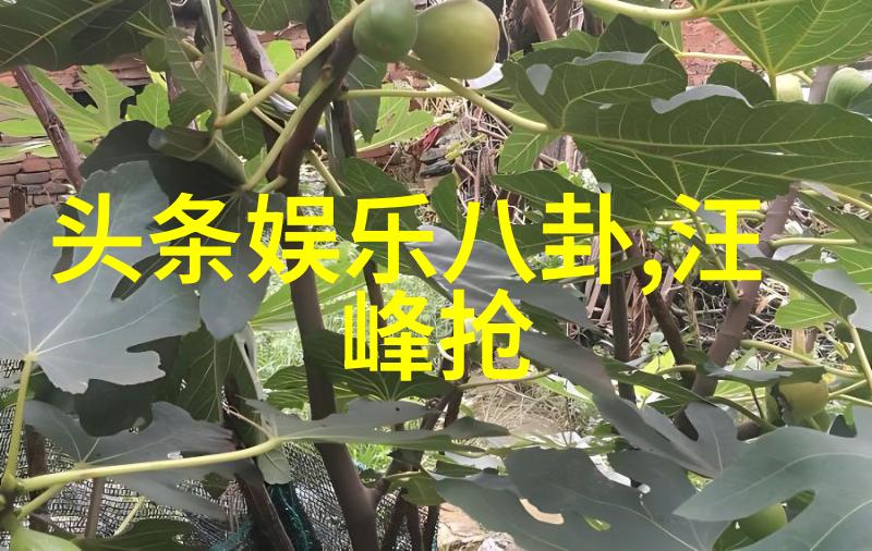火热的视界探索网络热门图像的深层符号