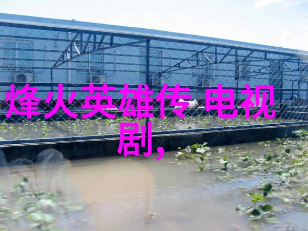 爸爸去哪-追逐梦想的足迹爸爸的不凡之旅