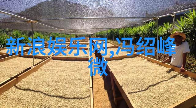 韩国电影中的夫妻情深探索爱情与忠诚的编织