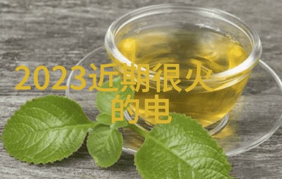 红毯上的秘密探究范冰冰与影视圈中的几位男星的深层关系