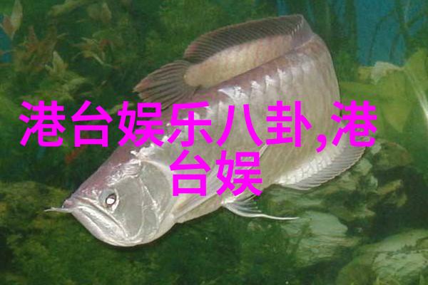 轻松管理热门新闻今日头条极速版操作指南