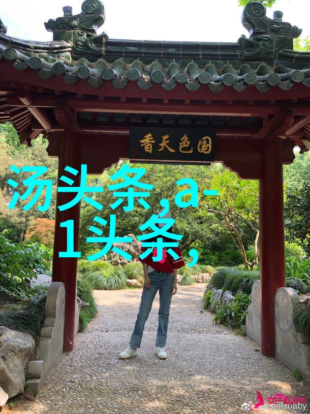 炮台这个名字是否源自高圆圆的某次采访或公开事件