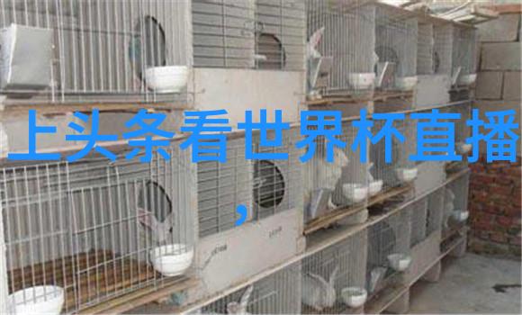 一场全球性危机国际合作如何应对跨国界的大型地球活动