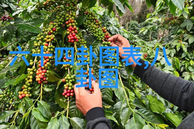 石头硬到不行的电影奇遇