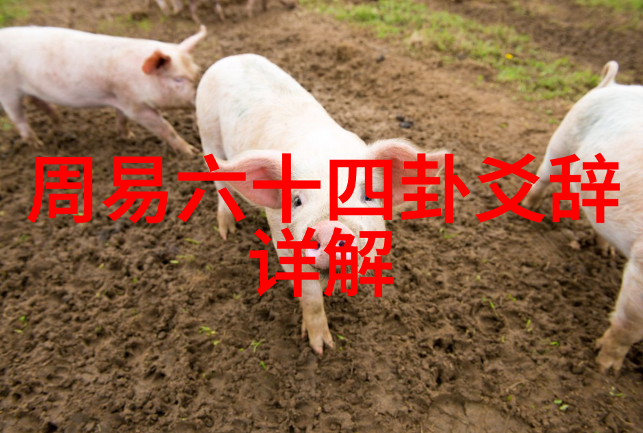 封神的国际足迹及其对国产片影响力的思考
