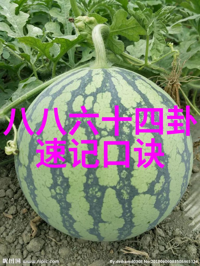 敢死队4电影免费观看完整版-终极逆袭敢死队4全片解锁