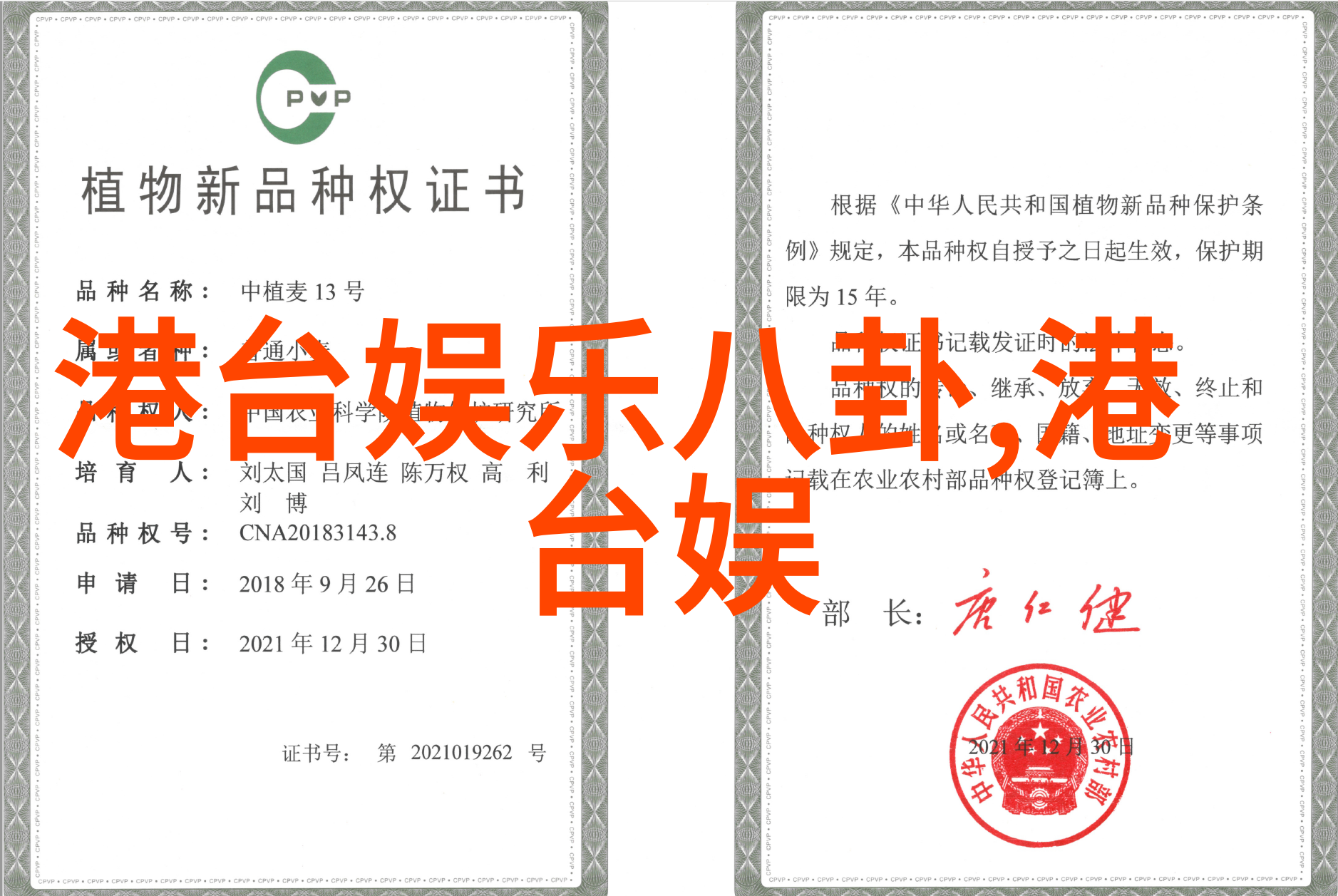 民间盖房用的八卦图引领社会潮流顶楼16集最新预告剧透大结局详解