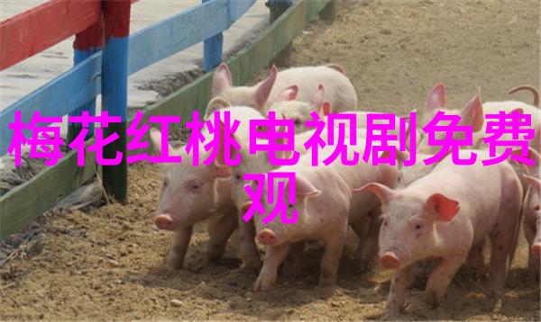 爱上特种兵打开军旅题材新思路 黄景瑜李沁开启合租新生活