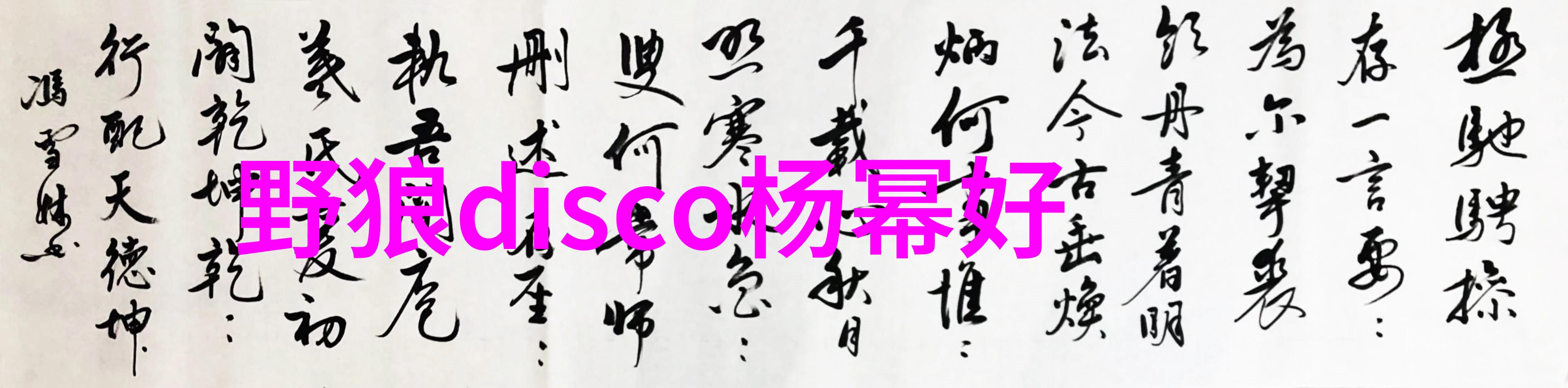 娱乐新闻热点综艺节目最新八卦