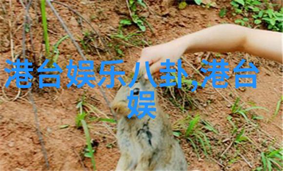 娱乐吧半停工演员的敬业通病否认退出演艺圈的反复考量
