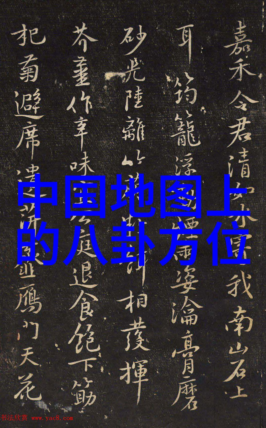 Pans写真探索时尚与艺术的交响篇