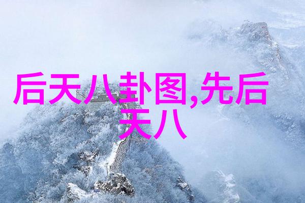 五月婷婷激情第五季爱的回响与热情的追逐