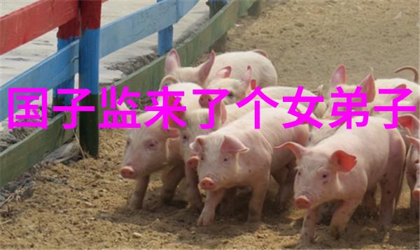 天人合一易经解读生辰八字的玄秘之术
